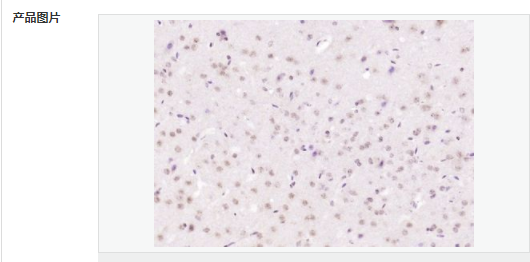 60583f2096a4c.png image.png